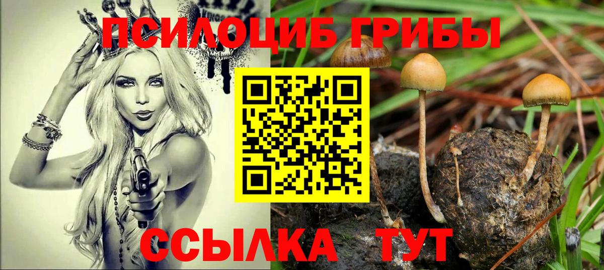 Псилоцибиновые грибы GOLDEN TEACHER  Вход с VPN  Вятские Поляны 