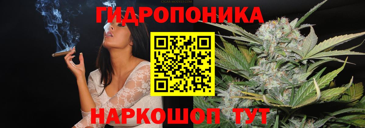 Конопля AK-47  Вход с VPN  Вятские Поляны  Канабис MAZAR  Бошки Шишки ГИДРОПОН 